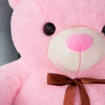 Didelis Pliušinis Meškiukas Meškinas, Minkštas Žaislas, 100 Cm, Rožinis, Toto - Teddyway